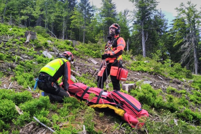 Ilustračný obrázok k článku Paraglajdista núdzovo pristál na strome: Do nemocnice ho previezol vrtuľník
