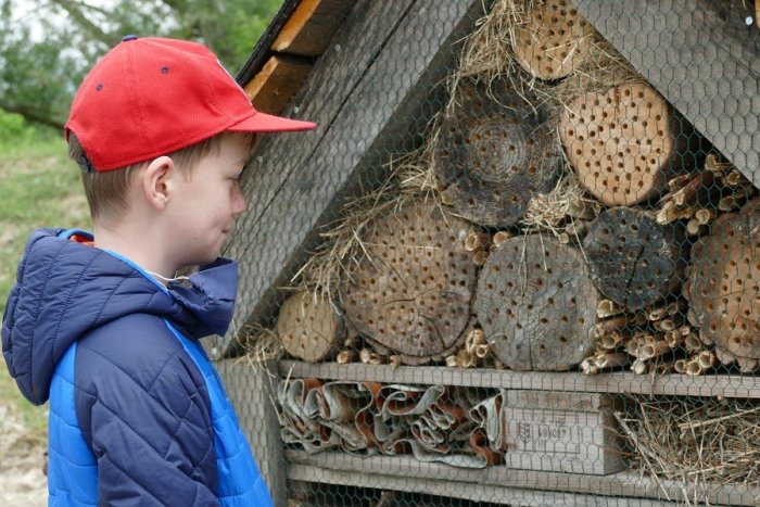 Ilustračný obrázok k článku Úžasné, čo sa podarilo na školách v Banskobystrickom kraji: Vybudovali záhrady aj hmyzí domček