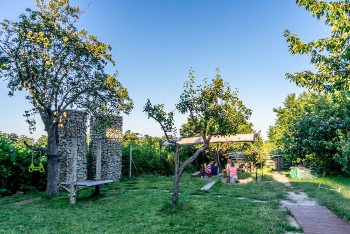 Ilustračný obrázok k článku Tipy na víkend v Bratislave: Túlajte sa po viniciach, ochutnajte dobré jedlo a užite si Dáždnikový pochod