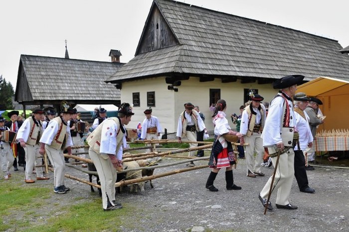 Ilustračný obrázok k článku Obľúbená akcia na Liptove sa blíži: Čo prinesie Ovčiarska nedeľa?