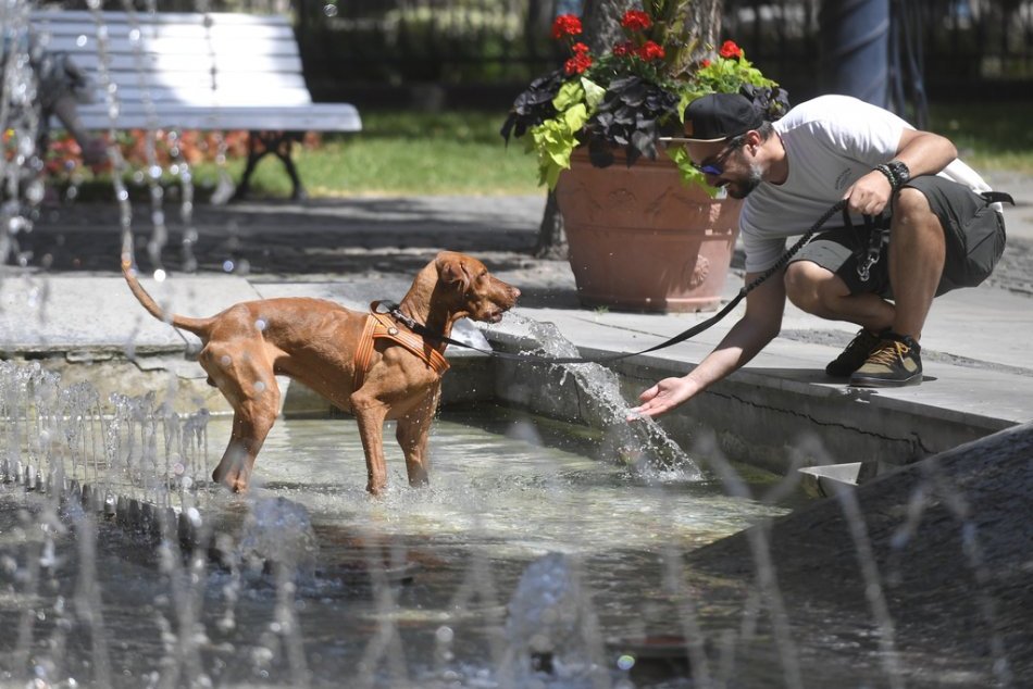Ilustračný obrázok k článku V OBRAZOCH: Košičania bojujú s horúčavami. Vhod padne zmrzlina aj fontána