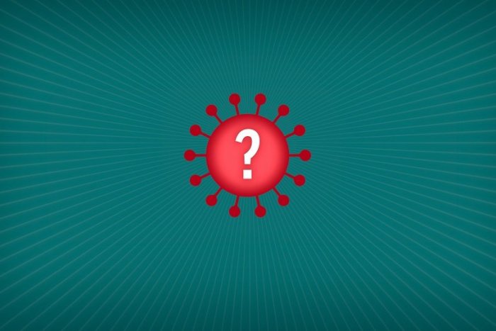 Ilustračný obrázok k článku Máme ďalšie 3 prípady delta variantu nového koronavírusu: Veľká VÝZVA Mikasa občanom!