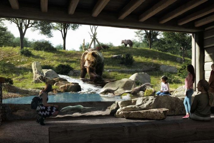 Ilustračný obrázok k článku Prekvapenie z bratislavskej ZOO: Riaditeľka J. Hanuliaková sa vzdala svojej funkcie