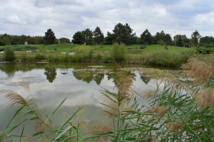 Ilustračný obrázok k článku Máte už plány na víkend? Botanická záhrada láka na tri dni plné PROGRAMU