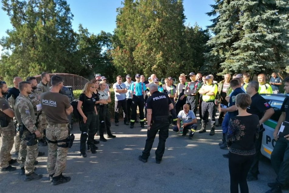 Ilustračný obrázok k článku Starček sa našiel živý a zdravý! Hrdinami desiatky hľadajúcich ľudí