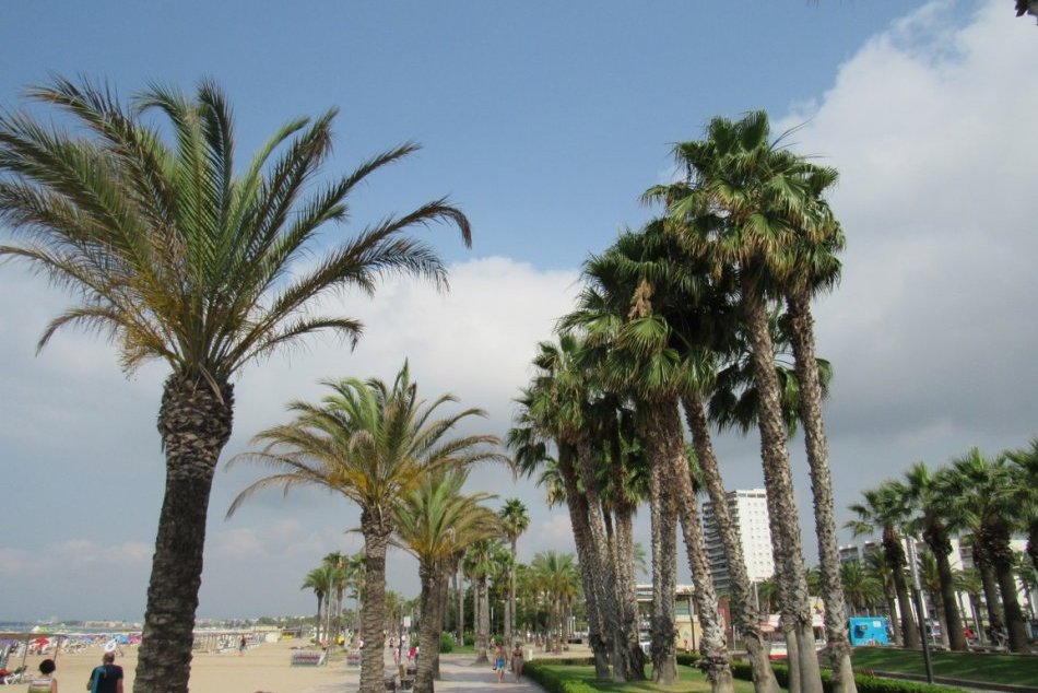 Ilustračný obrázok k článku Problémy pri návrate zo Španielska: Dajte si POZOR na krádeže, podvody a testovanie