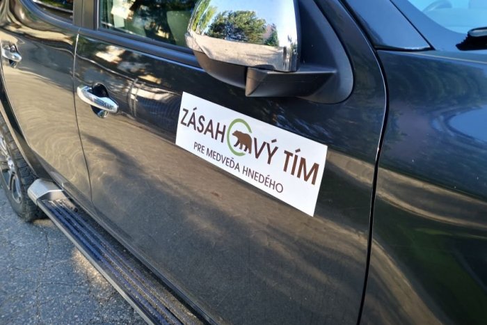 Ilustračný obrázok k článku Zásahový tím pre medveďa hnedého v akcii: Tatranský MACO dostal smrteľnú dávku