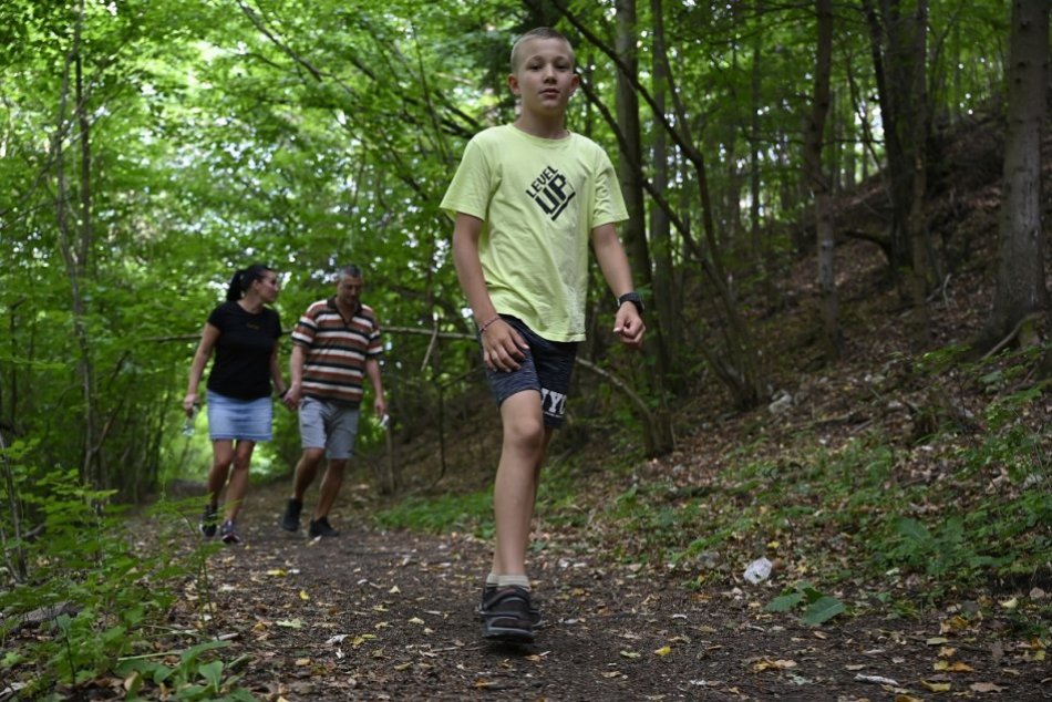 Ilustračný obrázok k článku Správy, ktoré potešia (nielen) turistov: Zákaz vstupu do lesov v okrese SKONČIL!