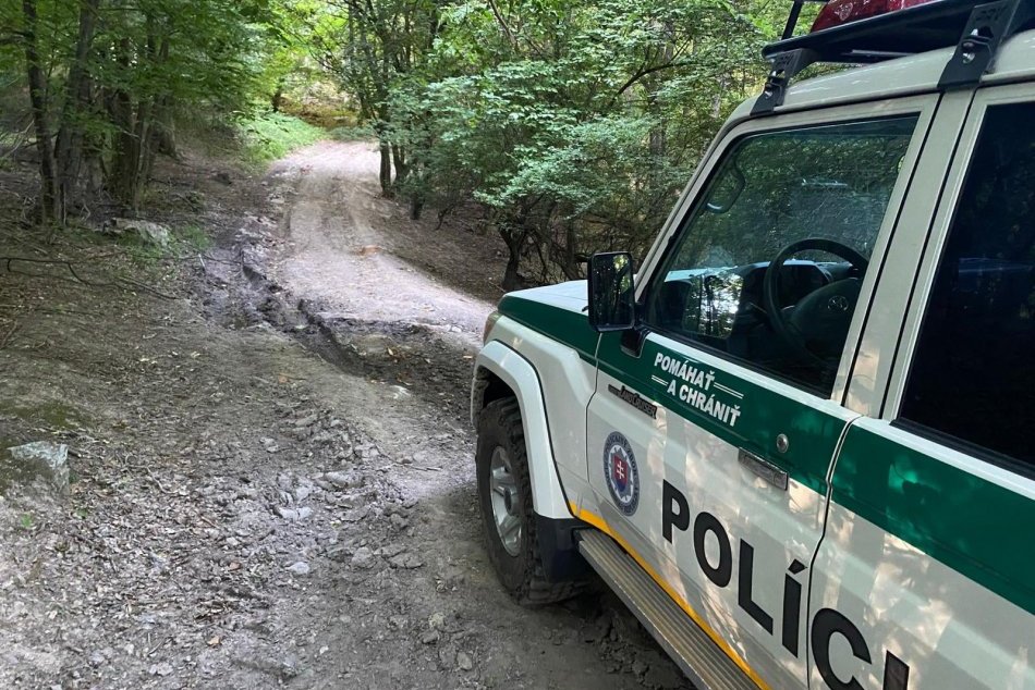 Ilustračný obrázok k článku Veľké pátranie v okrese Trenčín so šťastným koncom: Hľadaný si vykračoval lesom