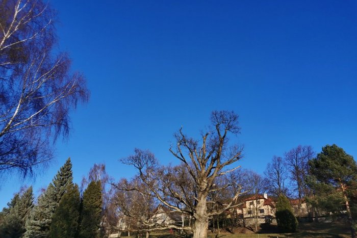 Ilustračný obrázok k článku Akcia, aká tu ešte nebola: Pôsobivá nočná šou v Zechenterovej záhrade