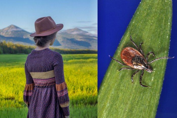 Ilustračný obrázok k článku Ako sa správne zbaviť kliešťa? Odborníci VYVRACAJÚ jeden rozšírený MÝTUS