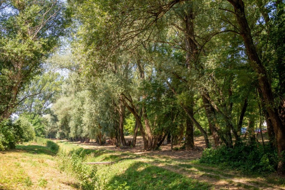 Ilustračný obrázok k článku V Trenčíne pribudne nový park: Mesto hovorí o výnimočnom projekte, FOTO