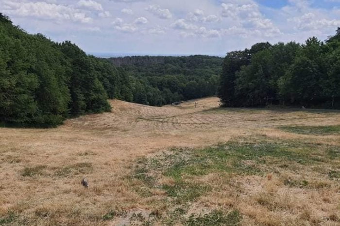 Ilustračný obrázok k článku ZARÁŽAJÚCI pohľad na Bratislavu: VYSUŠENÉ PLOCHY vidieť aj na snímkach z vtáčej perspektívy!