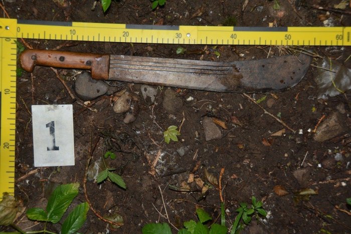 Ilustračný obrázok k článku Krvavá dráma neďaleko Lučenca: Útočník vytiahol mačetu!