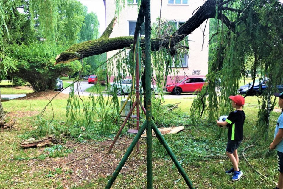 Ilustračný obrázok k článku Pád stromu na Lánoch rozhýbal veci: Nariadili výrub, v hre aj nové ihrisko, FOTO