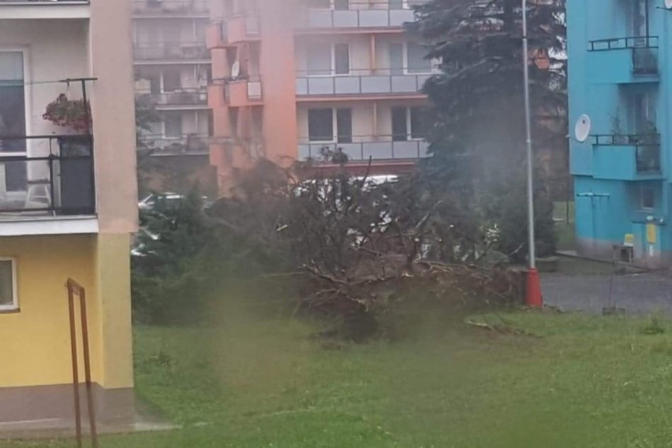 Ilustračný obrázok k článku Búrky v Banskobystrickom kraji polámali stromy, komplikujú tiež dopravu, FOTO