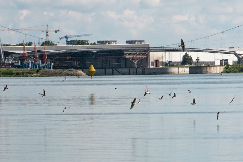 Ilustračný obrázok k článku "Developerský" projekt na brehu Dunaja má veľký úspech: Obyvatelia sú nadšení!