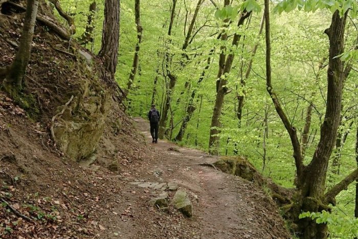 Ilustračný obrázok k článku Turistický chodník na Alpinku musia opraviť. Ako dlho bude uzavretý?