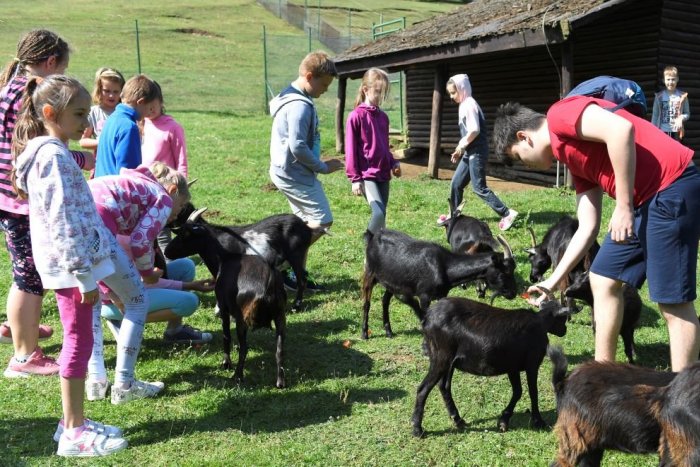 Ilustračný obrázok k článku Košice zacielili na detských návštevníkov: Za zbieranie zážitkov dostanú odmenu