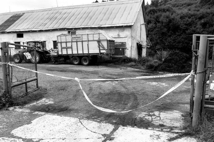 Ilustračný obrázok k článku Nešťastie na družstve pri Banskej Štiavnici: Muža usmrtil býk