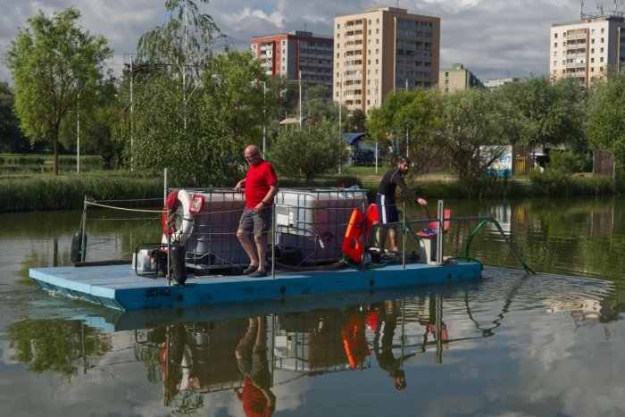 Ilustračný obrázok k článku Jazero budú čistiť od siníc. Kedy sa v ňom neokúpete?