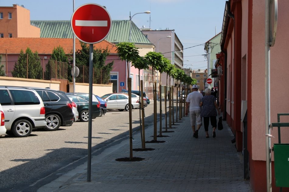 Ilustračný obrázok k článku Práce v uliciach pokračujú: Viaceré opravené chodníky už zdobia nové stromy, FOTO