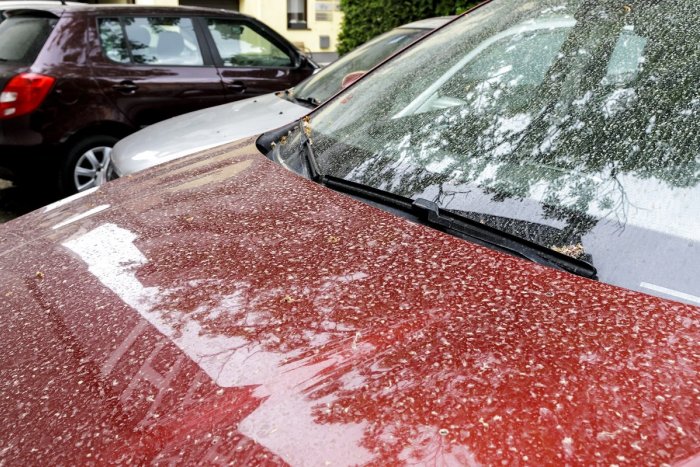 Ilustračný obrázok k článku Čaká nás „najšpinavší“ deň! Saharský prach prúdi na Slovensko, kedy to bude najhoršie?