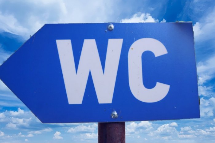 Ilustračný obrázok k článku Ikonickú latrínu pod Rysmi nahradia ekologickými toaletami: Nebudú však len obyčajné