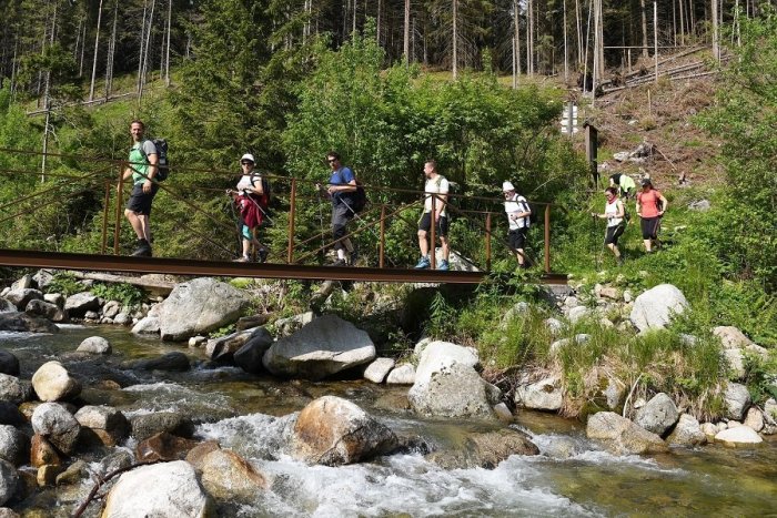 Ilustračný obrázok k článku Demänovská dolina s novým lákadlom: Skrášlia ju drevené sochy medveďa, rysa či orla
