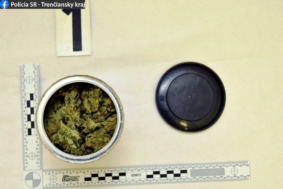 Ilustračný obrázok k článku Z Mládežníckej ulice v Trenčíne do basy na 10 rokov? Aj to sa dá za konope, FOTO