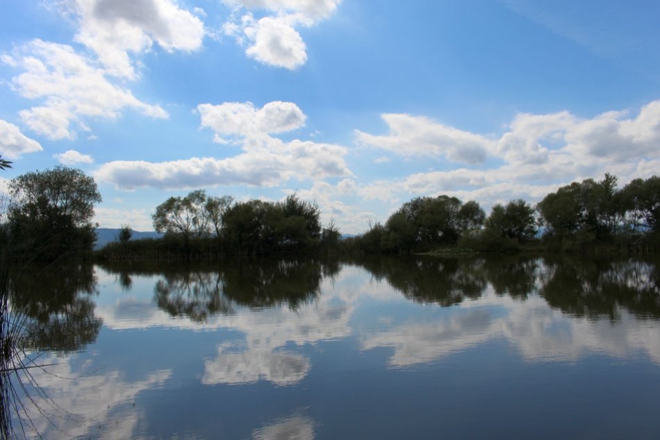 Ilustračný obrázok k článku Na Podpoľaní je ukrytá oáza pokoja: Počuli ste už o jazierku Tiki-Taka? FOTO