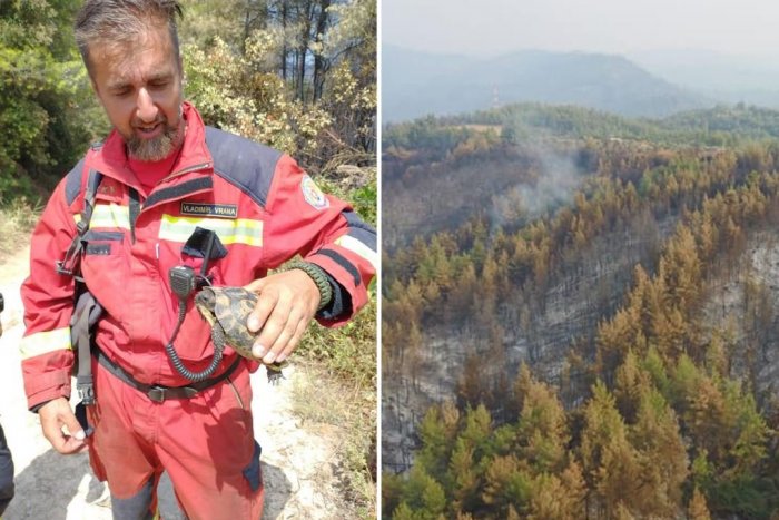 Ilustračný obrázok k článku Krásne gesto nášho hasiča v Grécku: Pomohol zachrániť malý život