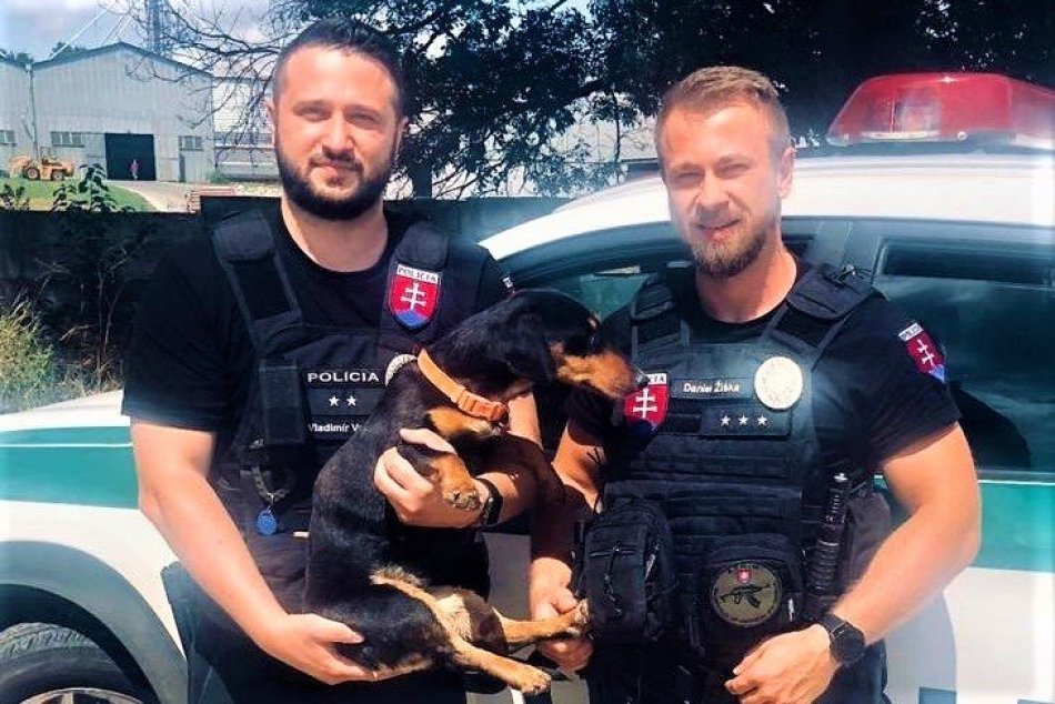 Ilustračný obrázok k článku Zranený psík sa ďaleko zatúlal: Majiteľovi spôsobili policajti obrovskú radosť