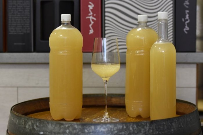 Ilustračný obrázok k článku Blíži sa obdobie BURČIAKA: Nenaleťte na FALOŠNÝ! Prečo si na pravý treba počkať?