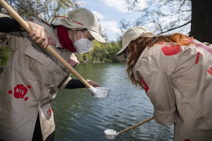 Ilustračný obrázok k článku Nový druh KOMÁRA v Bratislave: Je schopný prenášať vírusy japonskej encefalitídy či Zika