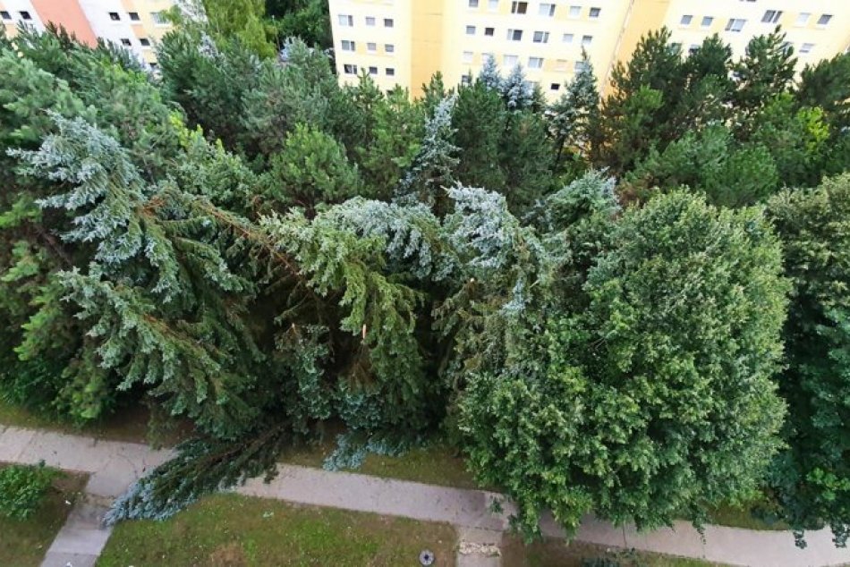 Ilustračný obrázok k článku Hrozivá bilancia ničivej smršte v Bystrici: Nosko prehovoril, aké škody napáchala, FOTO