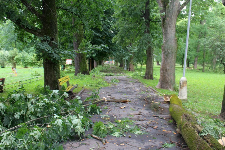 Ilustračný obrázok k článku Smršť v Bystrici spôsobila rozsiahle ŠKODY na zeleni: Potrvá týždne, kým všetko odstránia