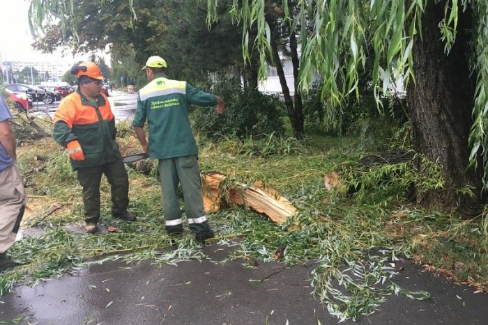 Ilustračný obrázok k článku Košice po silných búrkach: Polámané stromy aj zatvorený cintorín, FOTO