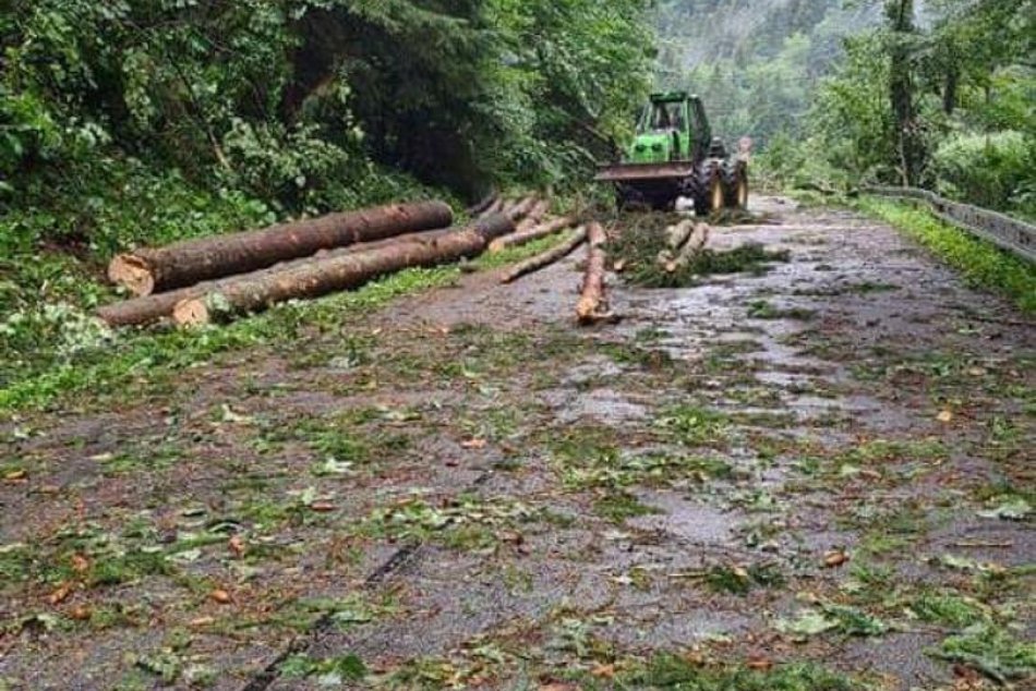 Ilustračný obrázok k článku Stromy POPADALI na cesty: Počasie narobilo problémy aj v Trnavskom kraji