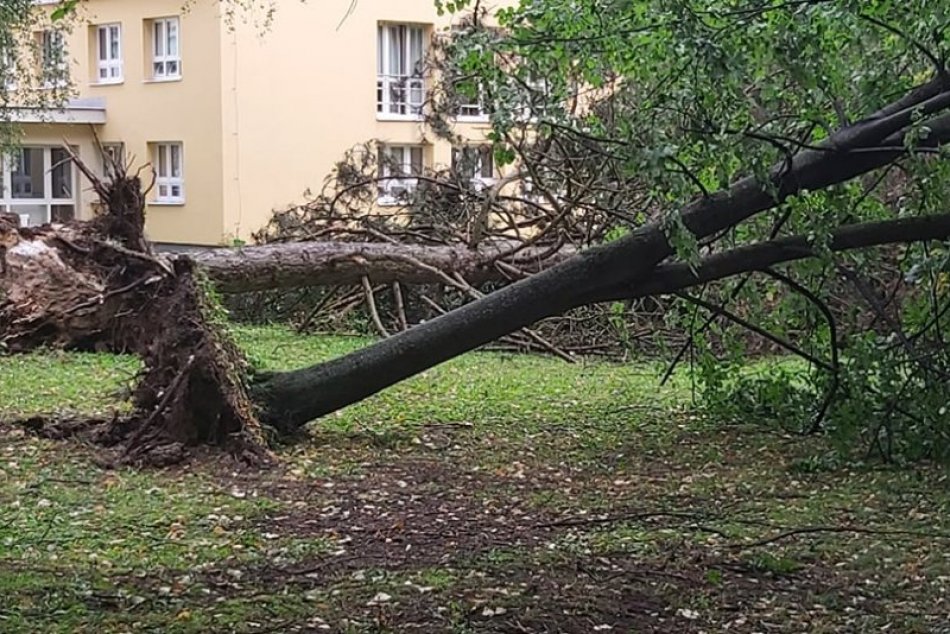 Ilustračný obrázok k článku Silné búrky vyvracali stromy, strhli strechu a vytopili čerpaciu stanicu