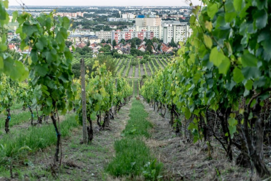 Ilustračný obrázok k článku Kto obsadí po voľbách kreslo starostu Rače? V hre sú štyria kandidáti