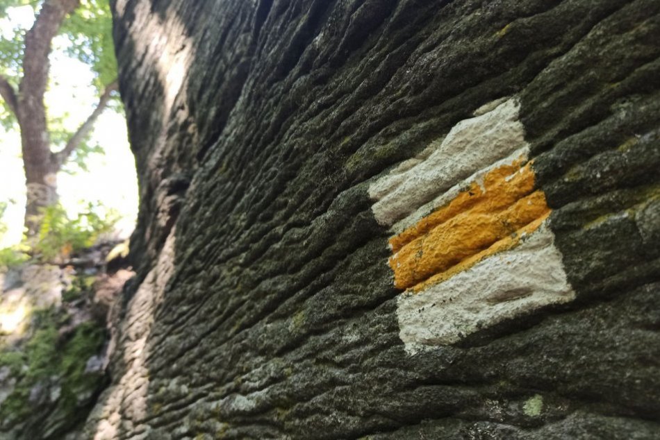 Ilustračný obrázok k článku Turistický chodník Račkova dolina je uzavretý: Dôvodom je upratovanie po kalamite