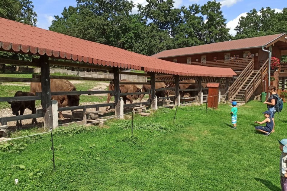 Ilustračný obrázok k článku Obľúbená zubria zvernica je dočasne ZATVORENÁ: Zakázaný je aj vstup do okolitých lesov