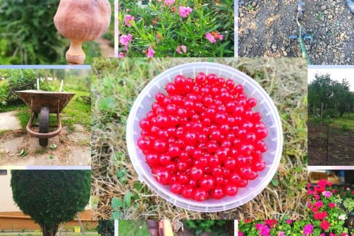 Ilustračný obrázok k článku FOTO výzva: Pochváľte sa záhradou so srdcom, úrodou z balkóna i pracovitými rukami