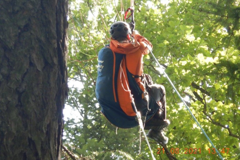 Ilustračný obrázok k článku Paraglajdista uviazol na strome: Záchranná akcia na FOTO