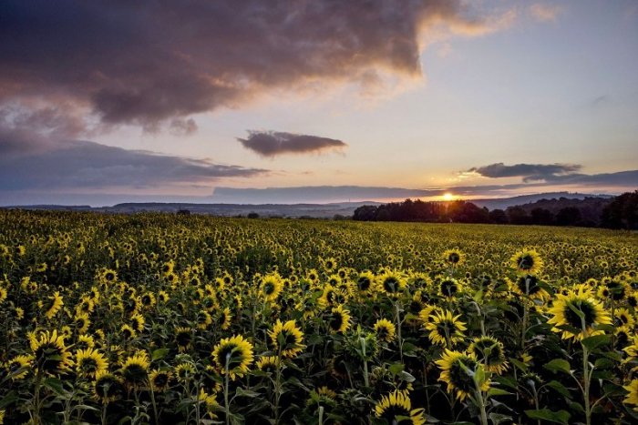 Ilustračný obrázok k článku Koniec leta? Záver prázdnin prináša VÝRAZNÚ zmenu počasia