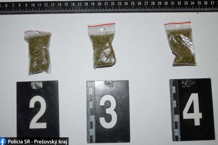 Ilustračný obrázok k článku Odsúdený mladík z Novej Lesnej si nedal povedať: Zas mu našli trávu, hrozí mu 15 rokov