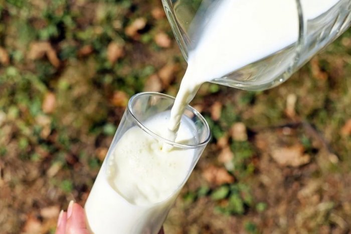 Ilustračný obrázok k článku Koniec klasiky? Výskumníčka vyvinula ZEMIAKOVÉ mlieko, má fantastické vlastnosti