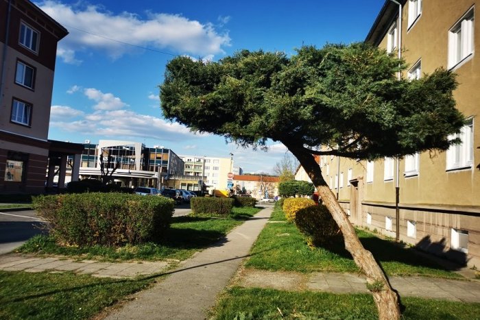 Ilustračný obrázok k článku V Žiari pribudnú dažďové záhrady aj zelené strechy: Mesto získalo dotáciu na ekologický projekt