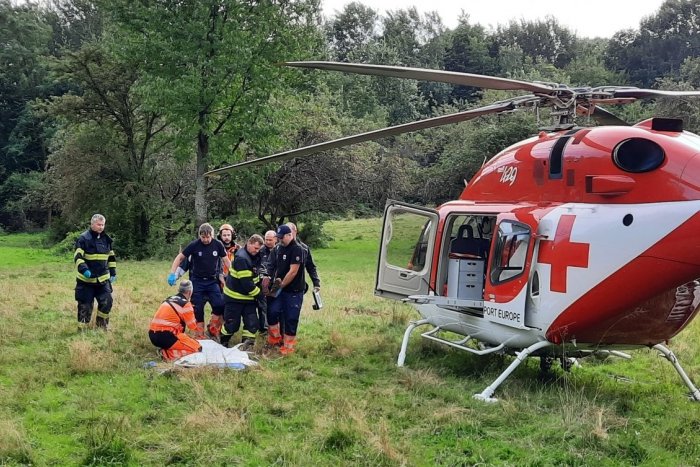 Ilustračný obrázok k článku Ďalší brutálny ÚTOK medveďa! Ťažko zranenú ženu ratovali leteckí záchranári